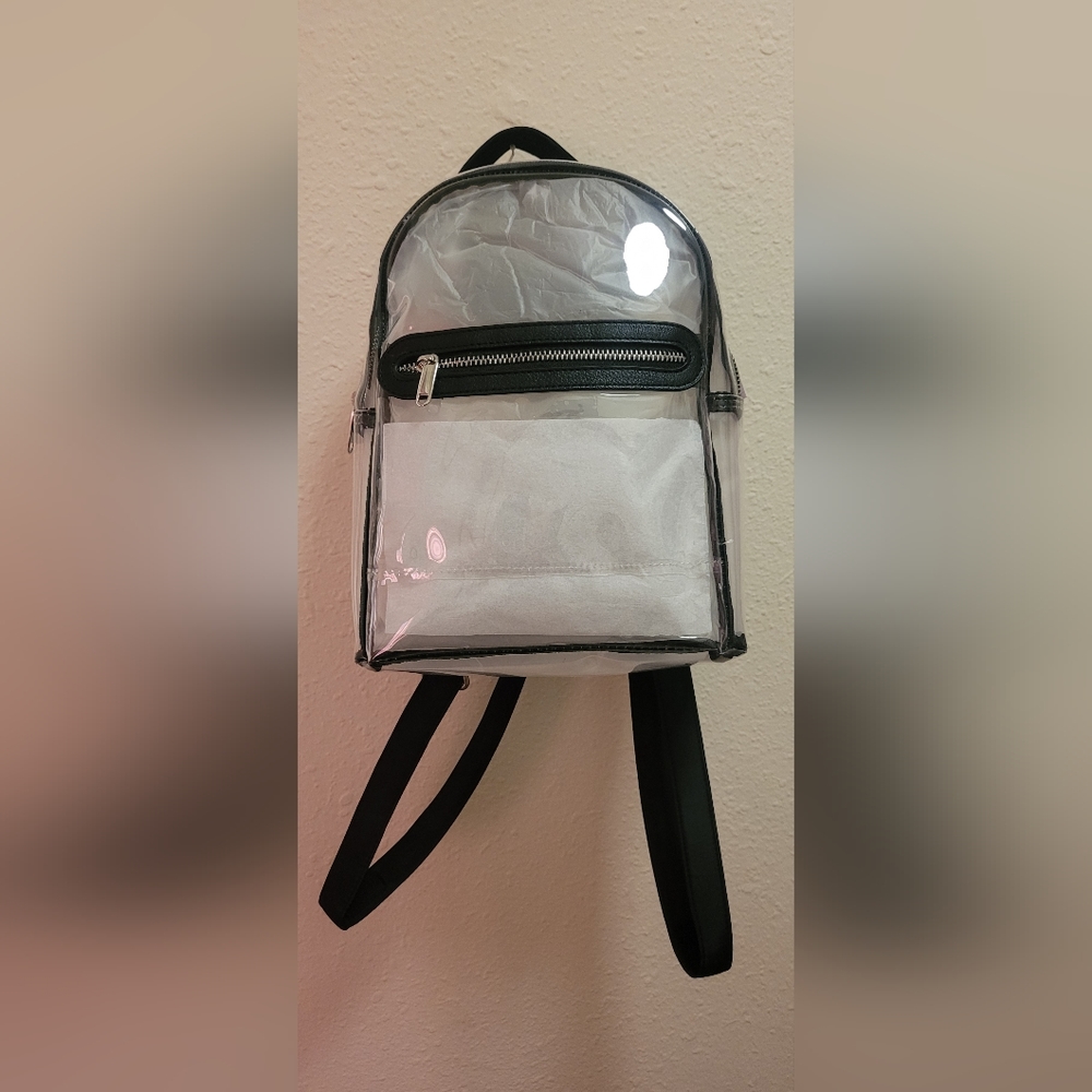 Stadium approved clear bag